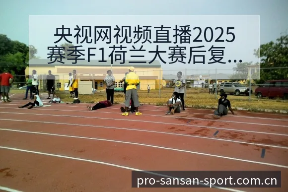 央视网视频直播2025赛季F1荷兰大赛后复盘与关键变化签 - 333体育