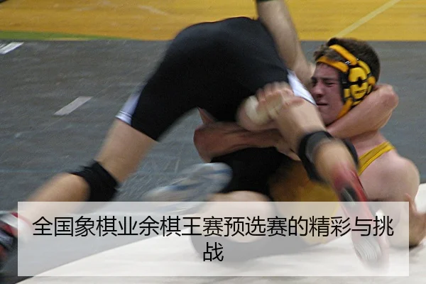 quan-guo-xiang-qi-ye-yu-qi-wang-sai-yu-xuan-sai-de-jing-cai-yu-tiao-zhan-2-205.jpg