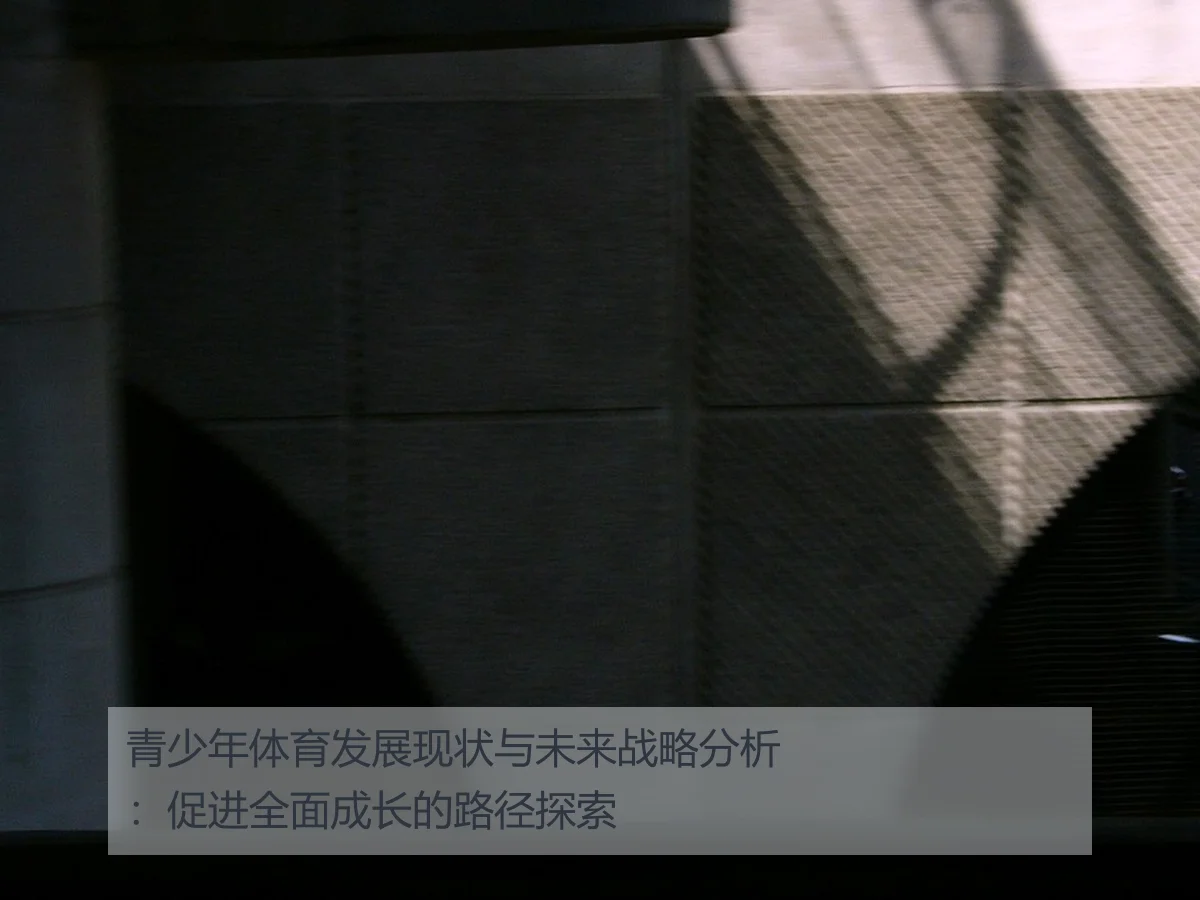 青少年体育发展现状与未来战略分析:促进全面成长的路径探索